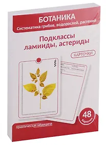 Купить Ботаника. Систематика грибов, водорослей, растений. Подклассы ламииды, астериды. 48 карточек — Фото №1
