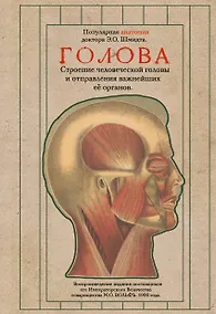 Купить Голова. Строение человеческой головы и отправления важнейших её органов — Фото №1