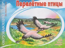 Купить Перелетные птицы — Фото №1