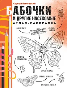 Купить Бабочки и другие насекомые — Фото №1