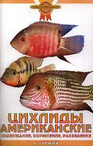 Купить Цихлиды американские. Содержание — Фото №1