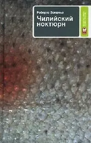 Купить Чилийский ноктюрн — Фото №1