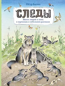 Купить Следы — Фото №1