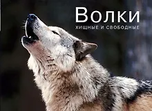 Купить Волки. Хищные и свободные — Фото №1