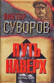 Купить Путь наверх — Фото №1