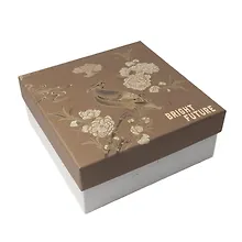 Купить Коробка подарочная "Bright future" 18*18*7,5, картон — Фото №1