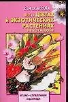 Купить Все о цветах и экзотических растениях в вашем доме — Фото №1