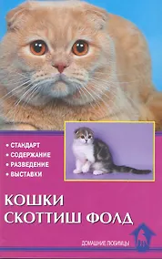 Купить Кошки скоттиш фолд. Стандарт. Содержание. Разведение. Выставки. — Фото №1