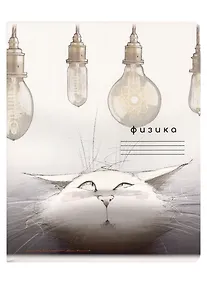 Купить Тетрадь предметная в клетку "Кот учёный. Физика", 48 листов — Фото №1