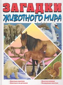 Купить Закадки животного мира — Фото №1