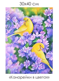 Купить Набор для творчества. Алмазные узоры "Канарейки в цветах", 30 х 40 см — Фото №1