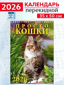 Купить Календарь 2026г 350*500 «Просто кошки» настенный, на спирали — Фото №1