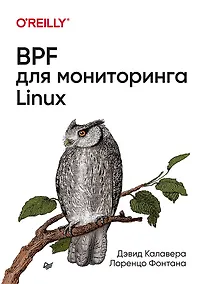 Купить BPF для мониторинга Linux — Фото №1