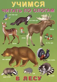 Купить Учимся читать по слогам. В лесу — Фото №1