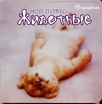 Купить Мои первые животные — Фото №1