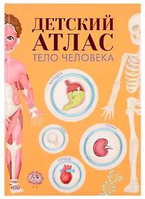 Купить ДЕТСКИЙ АТЛАС "ТЕЛО ЧЕЛОВЕКА" мат.ламин, выб.лак, тиснение, мелов.бум.  236х336 — Фото №1
