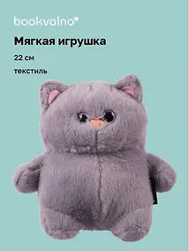 Купить Мягкая игрушка Котик с щечками (серый) (22см) (12-0650-202411-T3) Bookvalno — Фото №1