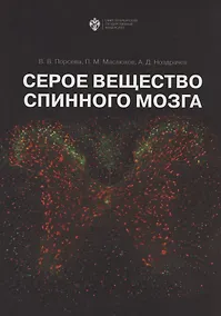 Купить Серое вещество спинного мозга — Фото №1