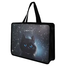 Купить Папка для тетрадей А4 "Принцесса луна" полипропилен, 34*25*9.5 см, молния, дно с расширением — Фото №1