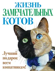 Купить Жизнь замечательных котов — Фото №1