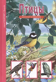 Купить Птицы — Фото №1