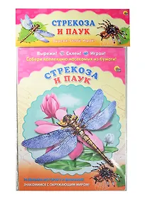 Купить Стрекоза. Паук — Фото №1