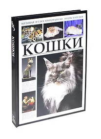 Купить Большая иллюстрированная энциклопедия. Кошки — Фото №1