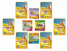 Купить Набор для изучения английского языка "Grammar box" (Грамматическая коробка). ФГОС — Фото №1