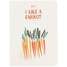 Купить Записная книжка «I like, I have», 24 листа, А6 — Фото №1