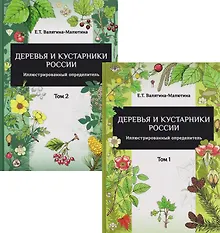 Купить Деревья и кустарники России: Иллюстрированный определитель. В двух томах — Фото №1