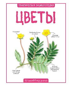 Купить Цветы — Фото №1