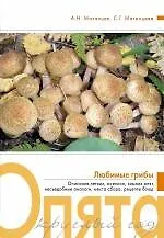 Купить Опята круглый год — Фото №1