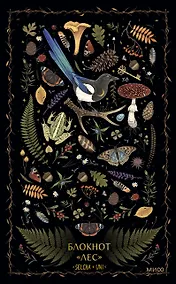 Купить Книга для записей А5 80л «Лес Selcha Uni» — Фото №1