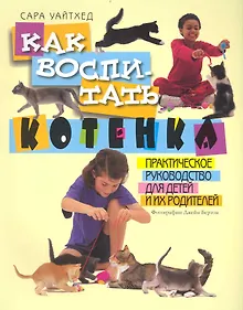 Купить Как воспитать котенка — Фото №1