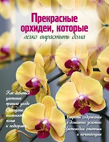 Купить Прекрасные орхидеи, которые легко вырастить дома — Фото №1