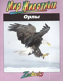 Купить Орлы — Фото №1