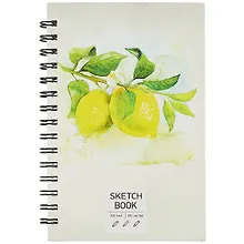 Купить Скетчбук А5 100л "SKETCHBOOK. Лимоны", 100г/м2, евроспираль — Фото №1