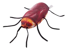 Купить Антистресс Таракан (22см) (212.1.1) — Фото №1