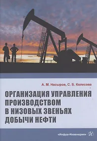 Купить Организация управления производством в низовых звеньях добычи нефти — Фото №1
