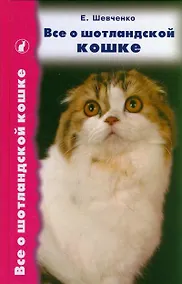 Купить Все о шотландской кошке. Скоттиш фолды. Страйты. Хайленд фолды — Фото №1