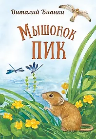 Купить Мышонок Пик — Фото №1