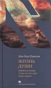 Купить Жизнь души. Еврейское учение о том, что нас ждет после смерти — Фото №1