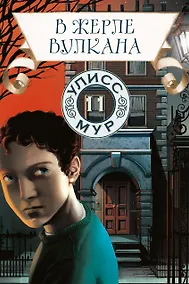 Купить В жерле вулкана — Фото №1