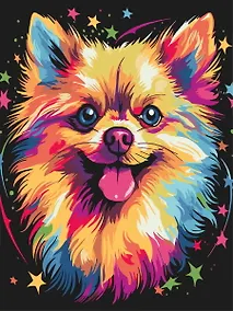 Купить Картина по номерам. На черном холсте. Цветной шпиц — Фото №1