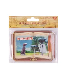 Купить Магнит в форме книги «Воронеж», 8,7 х 6,2 см 1093505 — Фото №1