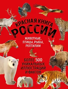 Купить Красная книга России. Животные, птицы, рыбы, рептилии. Более 500 уникальных иллюстраций и фактов (новое издание) (основной) — Фото №1