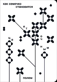 Купить Как семечко становится цветочным полем — Фото №1