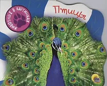 Купить Птицы — Фото №1