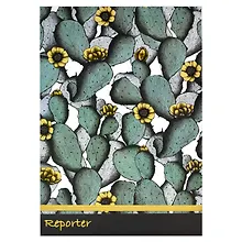Купить Книга для записей А5+ 100л тчк. "КАКТУСЫ" застёжка-резинка, обложка мел.картон 190г/м2 — Фото №1