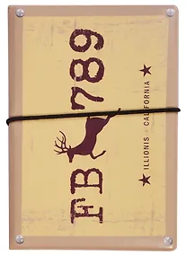 Купить Автодокументы Номерной знак FB-789 (бежевый) — Фото №1